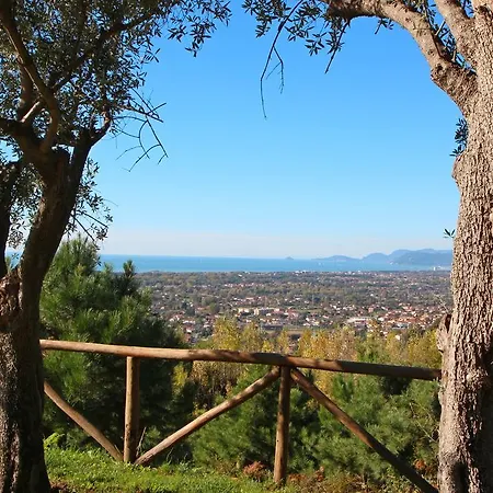 Aurelia * Strettoia